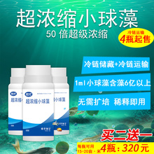 超浓缩小球藻 肥水 帮邦水产 冷链运输 藻种 有益藻 培藻 小球藻