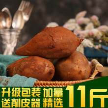 【送2斤共11斤】云南天山雪莲果红泥沙中圆果新鲜水果现挖包邮10