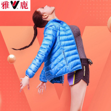 雅鹿冬装新 简约短款薄羽绒服女 时尚轻便休闲无帽立领鸭绒外套蓝图片