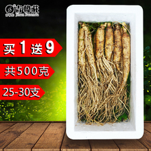 【买1送9发500克】人参 保鲜参长白山保鲜人参泡酒鲜人参东北特产