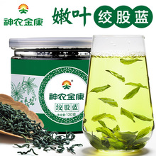 罗布麻野生胶股镭斗翘丶堵2发500g 1送1神农金康七叶绞股镭恫枵品