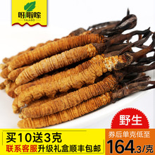 【2克8根】呀啦嗦冬虫夏草正品4根/g野生玉树虫草藏区直供礼盒装