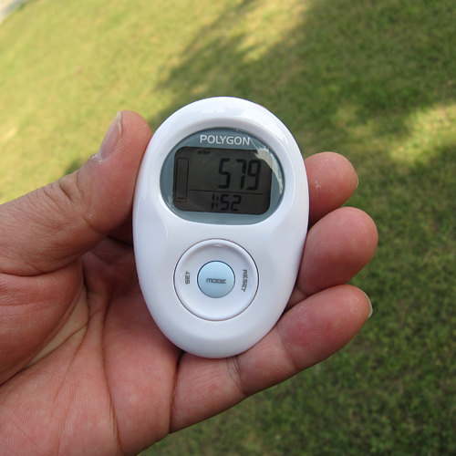 polygon�Ʋ���pro021