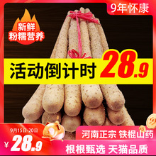 怀康温县铁棍山药河南焦作淮山5斤装 正宗怀山约新鲜铁杆棒荮特产
