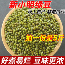 小明绿豆5斤当季新绿豆坝上农家自种绿豆绿豆汤绿豆沙发芽活绿豆