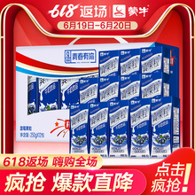 12盒 蒙牛真果粒蓝莓果粒250g