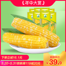 8支 东北农嫂黄糯玉米甜糯玉米柏200g 箱鲜食玉米甜玉米粒代餐