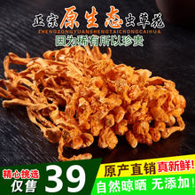 包邮 干货特级孢子头蛹虫草北虫草精选煲汤 买1送1共250g虫草花正品