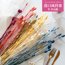 蔷薇蓝色风铃果永生配花灯笼果日本大地农园进口保鲜花插花瓶头饰
