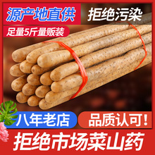 铁棍山药淮山河南焦作温县铁杆怀山约新鲜山药5斤装沁水岸