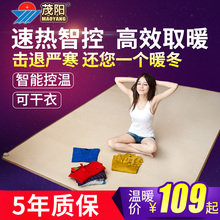 茂阳碳晶地暖垫发热暖脚垫暖手宝电暖地毯发热脚垫移动取暖地热垫