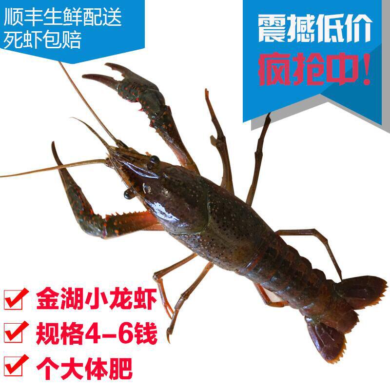 盱眙食品配送