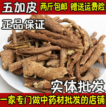 新鲜干货 散装 500克 新货 野生五加皮 香五加皮根 五加皮 中药材