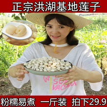 包邮 湖北特产正宗洪湖新鲜莲子磨皮白莲莲子干货去芯野生莲米500g