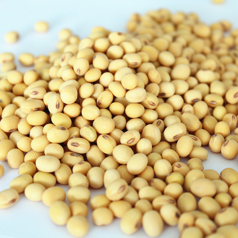 ϲټ����ƶ���33325