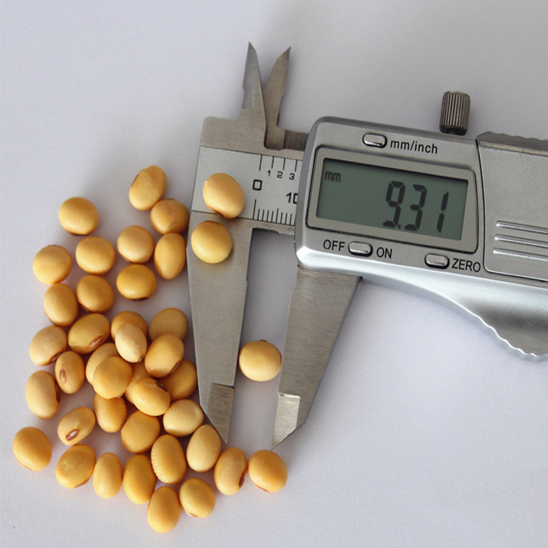 ϲټ����ƶ���33325