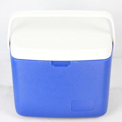 精品特价促销包邮 12L EPS/PU 便携式手提保温箱冷藏箱户外烧烤