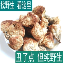 长白山纯野生猴头菇干货新干猴头菌可打猴头菇粉特级养胃猴菇250g