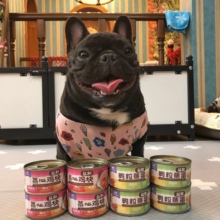 益和狗狗幼犬成犬蒸心鸡块鸭粒蒸蛋拌饭加餐零食罐头100g 驼驼家
