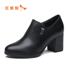2018秋季新品 红蜻蜓真皮女鞋 女优雅通勤单鞋 复古方跟知性高跟鞋