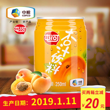 【中粮屯河】杏汁听装250ml*24罐装果汁饮料整箱批发果蔬汁饮品