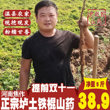 河南焦作温县垆土铁棍山药正宗铁杆怀山荮淮山药新鲜山约5斤 包邮