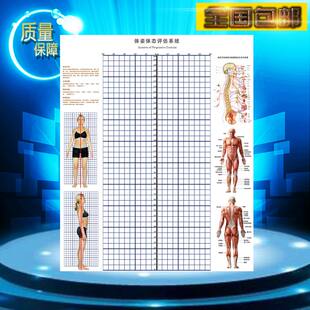 体测体位网格体态墙纸简约测量定制姿势评估