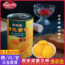 水果罐头 蛋糕装 425g 新鲜砀山糖水黄桃罐头 原装 烘焙原料