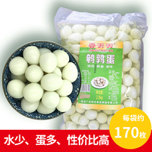清水火锅食材去壳水煮新鲜麻辣烫炸串 2.5kg含水5斤白水鹌鹑蛋