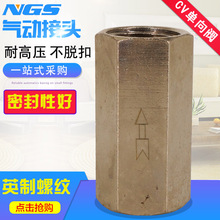 外六角铜气体单向阀止回阀逆止2分1分3分4分6分CV