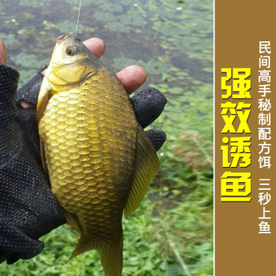B野钓黑坑鱼饵钓饵钓鱼小药垂钓用品鲫鱼鲤鱼饵料速拉系列