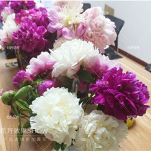 进口芍药鲜花10支一束菏泽重瓣牡丹基地自产自销手捧花芍药鲜切花