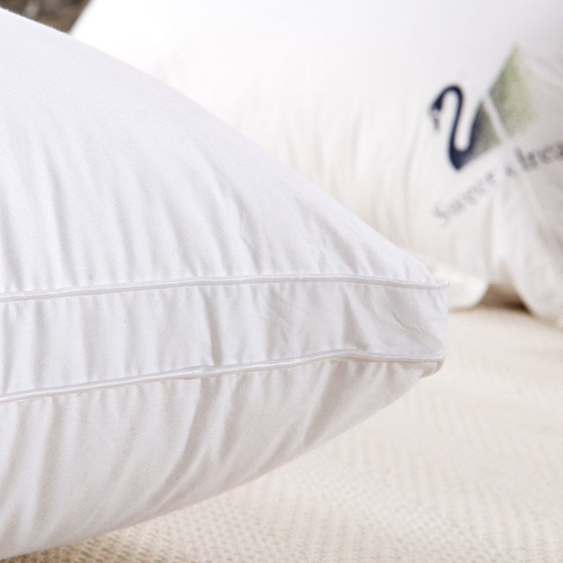 ������ȫ����ͷZT06