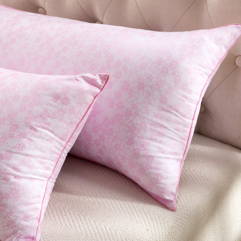 �����𻤾���ͷ