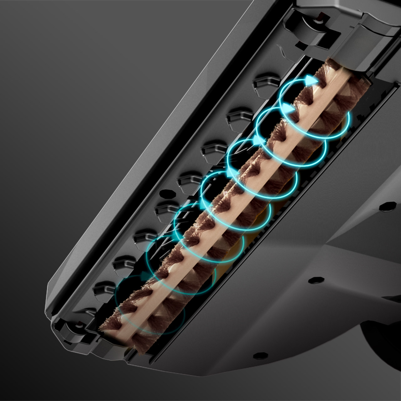 �ر���ʽ����������