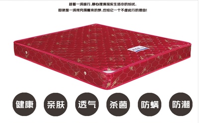 功能弹簧床垫品牌排行榜