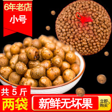 小号河南焦作温县铁棍山药豆山药蛋新鲜淮山豆5斤山药籽山药种子