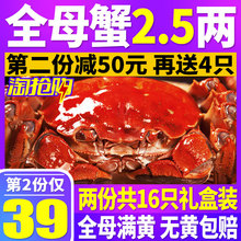 大闸蟹鲜活现货大螃蟹海鲜 水产 鲜活生鲜六月黄大蟹特大蟹全母蟹