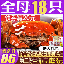 阳澄湖大闸蟹 8只装螃蟹鲜活 大闸蟹鲜活 阳澄湖 全母 特大蟹螃蟹