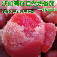 洋柿子5斤 现摘沙瓤自然熟西红柿番茄新鲜水果孕妇儿童绿色蔬菜