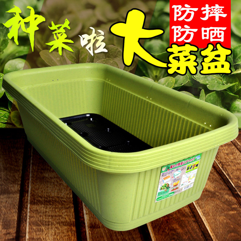 阳台绿色革命：种菜盆带您享受生态乐趣
