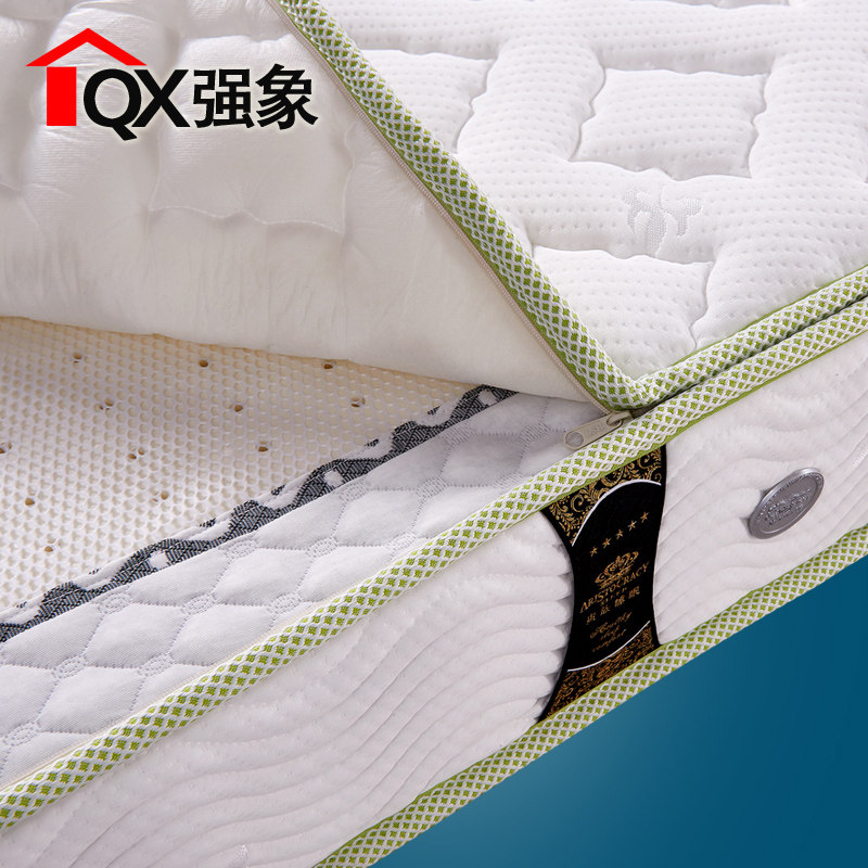 ǿ��͸���齺����A08-3