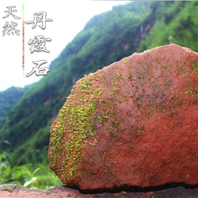 天然世界自然遗产地赤水上水丹霞石原石吸水石种植金钗石斛苗