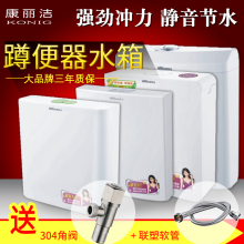 康丽洁水箱节能抽水大冲力蹲坑式卫生间冲厕所冲神器蹲便器冲水箱