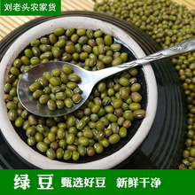 小绿豆农家笨绿豆 五谷杂粮 夏天绿豆汤 绿豆250g 刘老头农家货