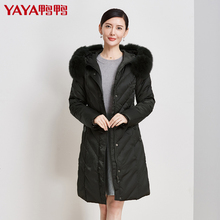 鸭鸭反季秋冬新款女装兰狐毛领外套连帽时尚羽绒服女中长款B-329图片