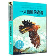 小学生课外畅销读物 儿童畅销书籍 浙江少年儿童出版社 正版书籍 必读课外书 遭遇 少儿推荐 动物小说大王沈石溪品藏书系 一只猎鹰