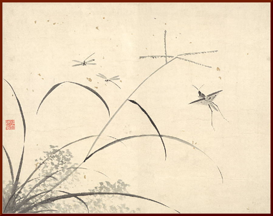 2花碟草虫十开杜大成明仿古画书房装饰画花鸟小品兰花国画