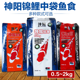 白点 德国莫斯特苦参 灯鱼斗鱼慈鲷七彩埃及白