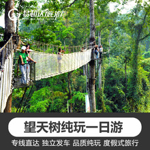 深度雨林西双版纳旅游推荐 望天树景区纯玩一日游含套票 全程讲解